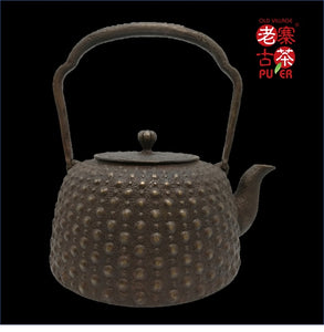 Nanbu Satetsu Tetsubin, 日本南部砂铁瓶， 南部龟甲文 - Old Village Puer 老寨古茶