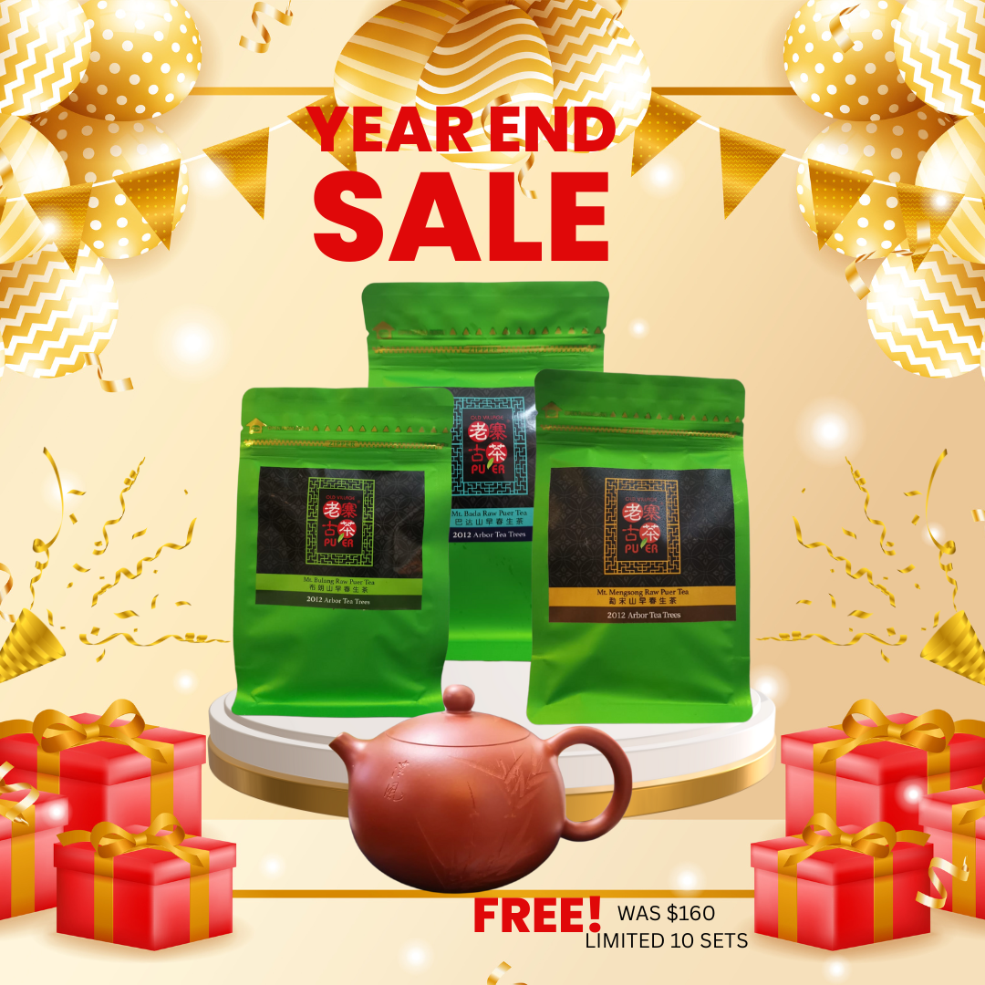 Why the Best Way to Understand PuErh Is by Starting with the Mountains