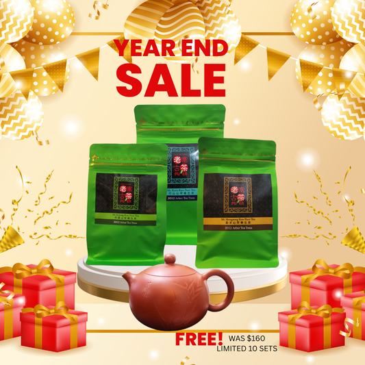 Why the Best Way to Understand PuErh Is by Starting with the Mountains