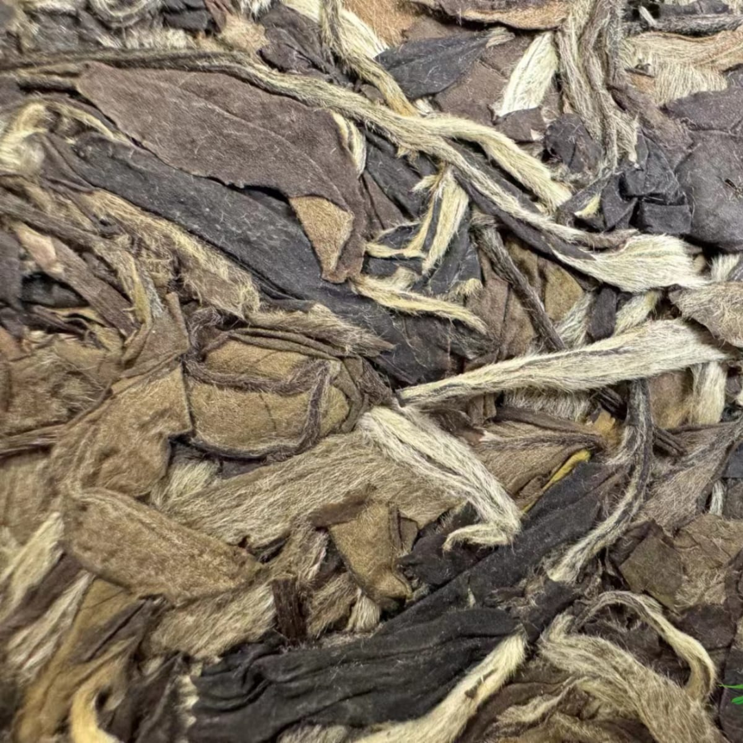 牡丹王饼 · 2009 福鼎白茶（磻溪高山）0923 LZGC Bai Mu Dan Fu Ding  White Tea (Panxi High Mountain) teacake each 300g