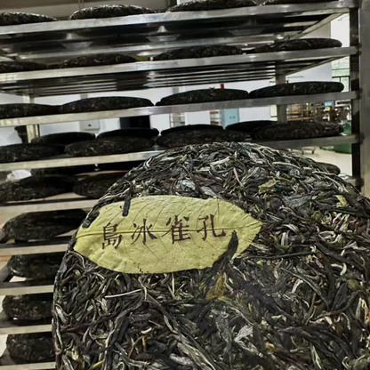 Peacock Bingdao 2025 – Spring Sheng Pu-erh  tea cake 357g from Bingdao Zhengzhai, 孔雀冰岛 2025·冰岛正寨 古树生茶