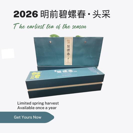 2026 明前碧螺春 · 头采 First Harvest Bi Luo Chun 2026