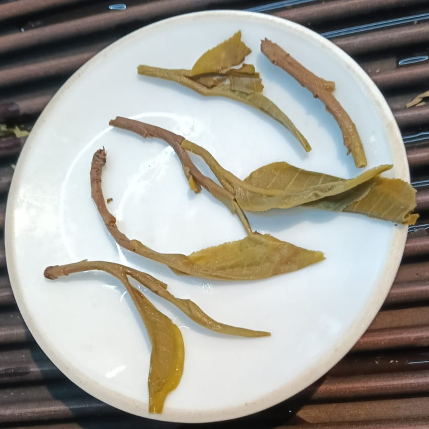 Peacock Bingdao 2025 – Spring Sheng Pu-erh  tea cake 357g from Bingdao Zhengzhai, 孔雀冰岛 2025·冰岛正寨 古树生茶