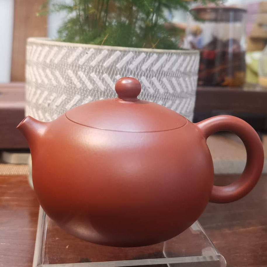 朱泥 西施 紫砂壶 实力派匠人 俊鹏 手作 Yixing Zisha teapot handmade by Studio Craftsmanship ZHU NI Xi Shi Shape