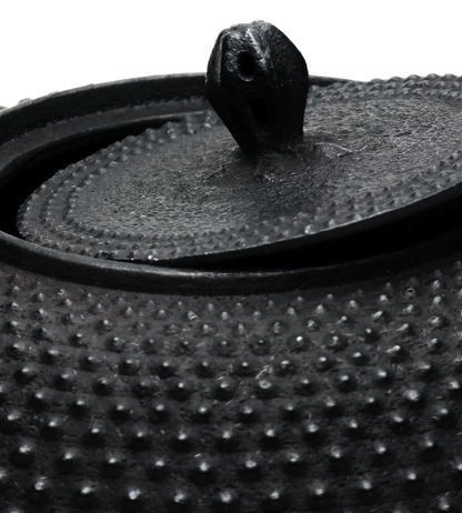 Japan Nanbu Tetsubin, Koizumi Nizaemon, Araremon-nanbugata-tetsubin 日本南部铁瓶，霰文南部形 御釜屋 小泉仁左衛門 十一代  供箱