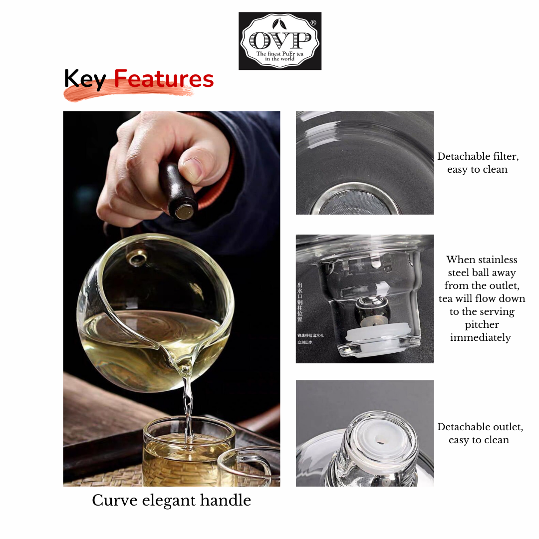 Semi-auto Borosilicate glass brewing set (150ml)