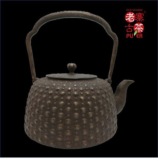 Nanbu Satetsu Tetsubin, 日本南部砂铁瓶， 南部龟甲文 - Old Village Puer 老寨古茶