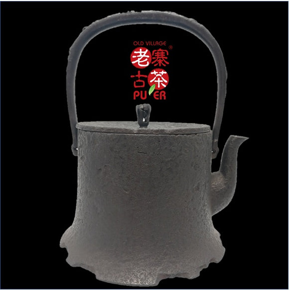 Japan Nanbu Satetsu Tetsubin, 日本南部砂铁瓶，寿山南部形龟纹