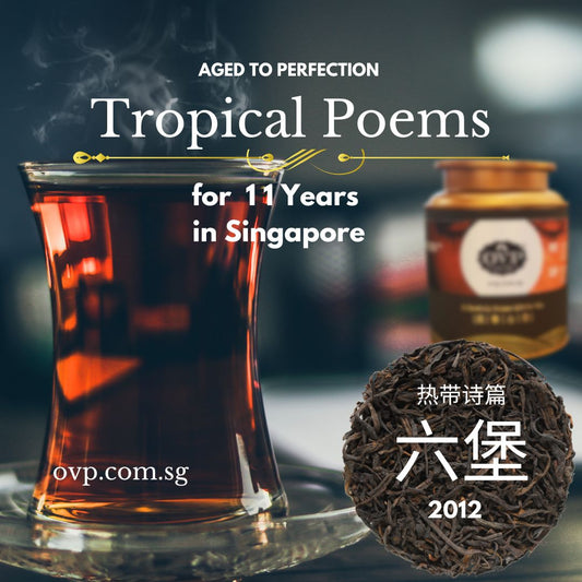 六堡茶 Tropical Poems™ OVP Liupao Dark Tea 2012 Liu Bao Loose Tea 2012