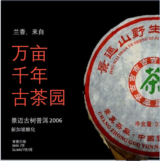 Mt. Jingmai Raw PuEr tea cake, ancient trees, 2006 Spring 景迈山 古树普洱生茶 - Old Village Puer 老寨古茶