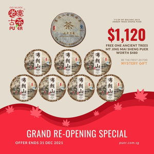 Re-opening Special