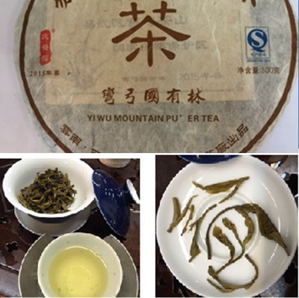Mt. Yiwu Raw PuEr tea cake, Wan-Gong village ancient trees, 2015 Spring Premium grade 易武山古树普洱生茶，弯弓国有林 - Old Village Puer 老寨古茶