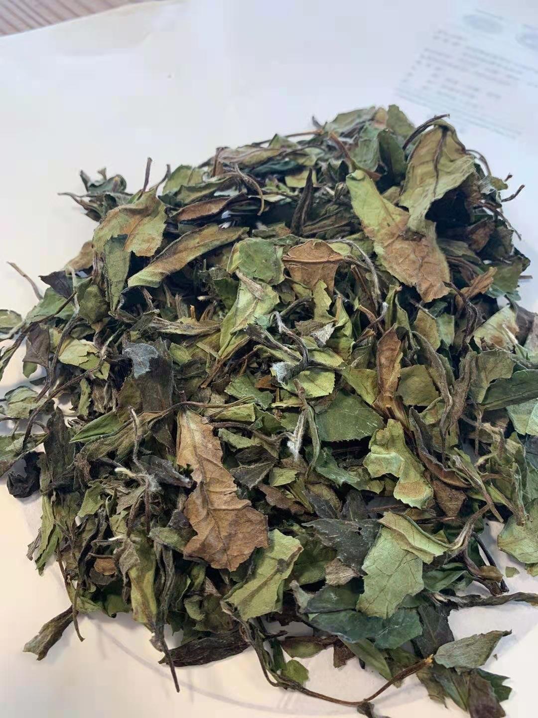 白色仙子 · White Fairy™ 2018 福鼎寿眉白茶（磻溪高山）1843 OVP White Fairy™ 2018 Fu Ding Shou Mei White Tea (Panxi High Mountain) | Loose Tea in Tin